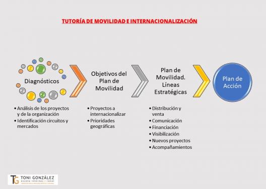 Proceso de trabajo en tutorías de movilidad - Toni Gonzalez - Escena Internacional